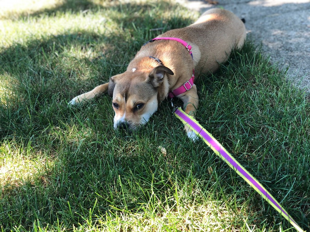 let’s get physical