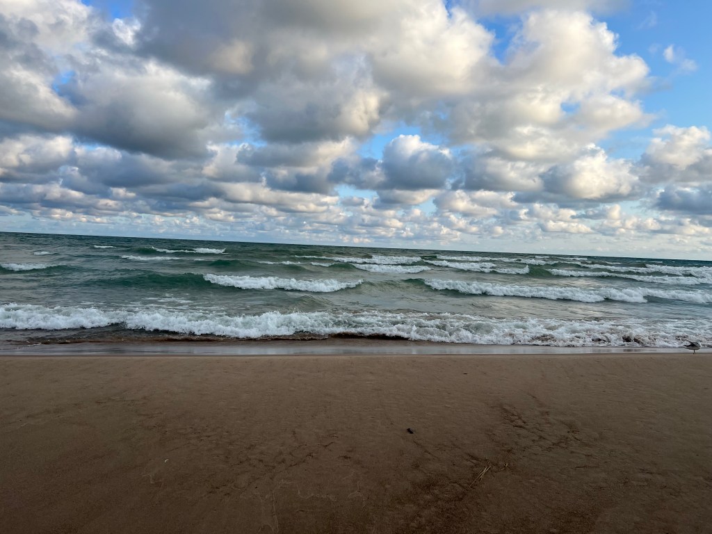 take out the papers and the trash