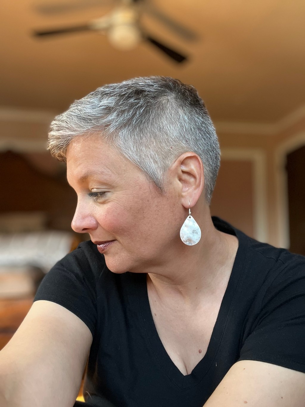 to dream the impossible dream